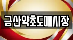 금산약초도매시장