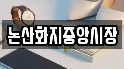 논산화지중앙시장
