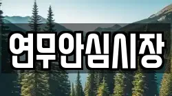 연무안심시장