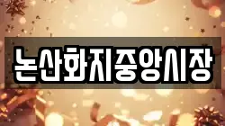 논산화지중앙시장