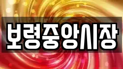 보령중앙시장