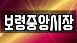 보령중앙시장