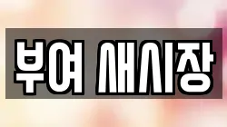 부여 새시장