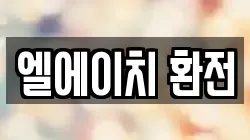 엘에이치 환전