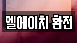 엘에이치 환전
