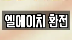 엘에이치 환전