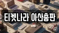 티켓나라 아산총판