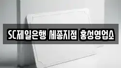 SC제일은행 세종지점 홍성영업소