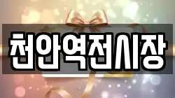 천안역전시장