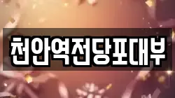 천안역전당포대부
