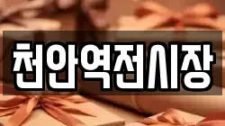 천안역전시장