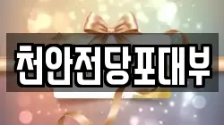 천안전당포대부