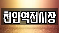 천안역전시장