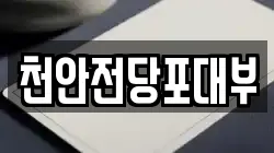 천안전당포대부