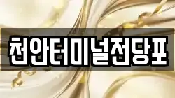 천안터미널전당포