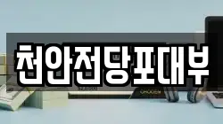 천안전당포대부
