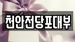 천안전당포대부