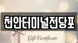 천안터미널전당포