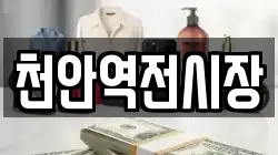 천안역전시장