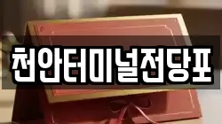 천안터미널전당포