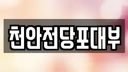 천안전당포대부