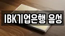 IBK기업은행 음성