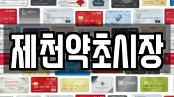제천약초시장