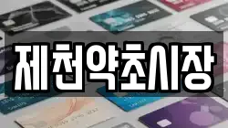 제천약초시장