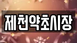 제천약초시장