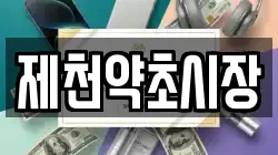 제천약초시장