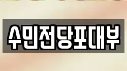 수민전당포대부