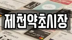 제천약초시장