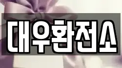 대우환전소