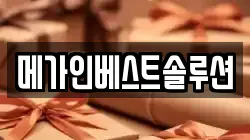 메가인베스트솔루션