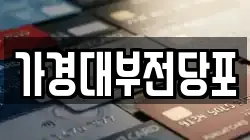 가경대부전당포
