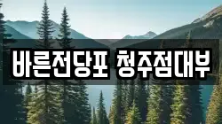 바른전당포 청주점대부