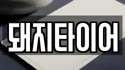 돼지타이어