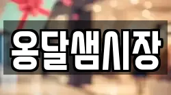 옹달샘시장