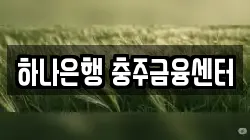 하나은행 충주금융센터