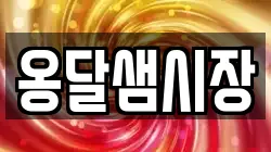옹달샘시장