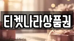 티켓나라상품권