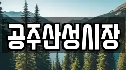 공주산성시장