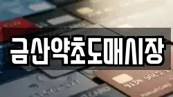 금산약초도매시장