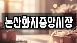 논산화지중앙시장