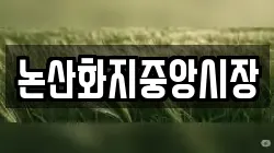 논산화지중앙시장