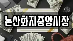 논산화지중앙시장