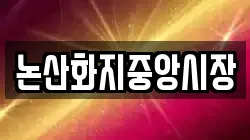 논산화지중앙시장