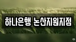 하나은행 논산지원지점