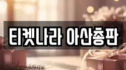 티켓나라 아산총판