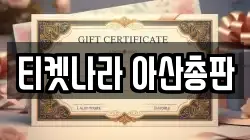 티켓나라 아산총판